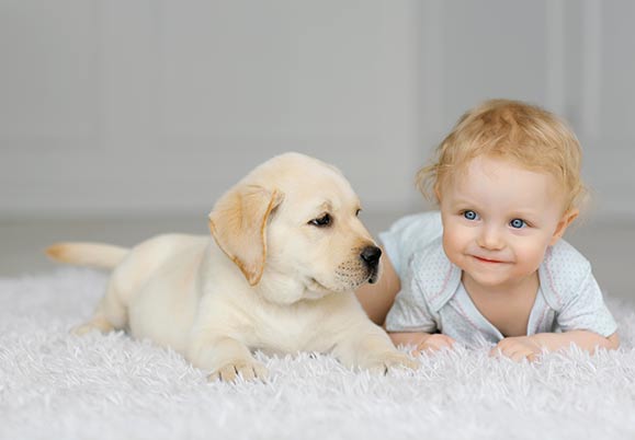 Baby next to puppy on carpet