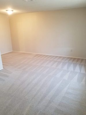 Carpet fully cleaned