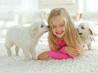 Girl playing with puppies